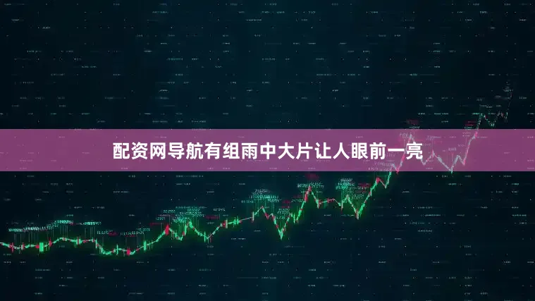 配资网导航有组雨中大片让人眼前一亮
