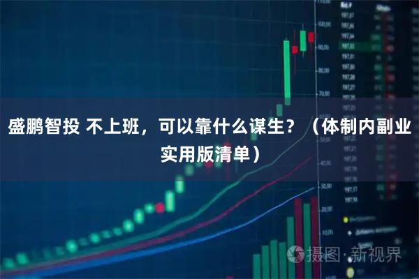 盛鹏智投 不上班，可以靠什么谋生？（体制内副业实用版清单）